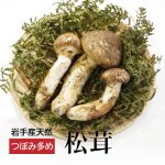 岩手の天然松茸 天然きのこ