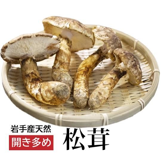 名入れ無料】 岩手県産天然松茸 蕾 良型 野菜 - www