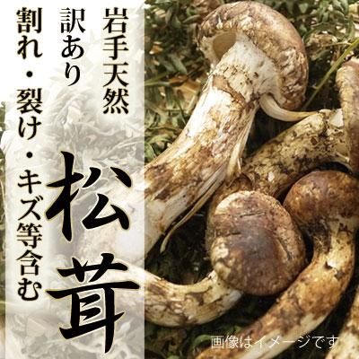 人気カラーの 岩手県産 天然松茸 - 野菜