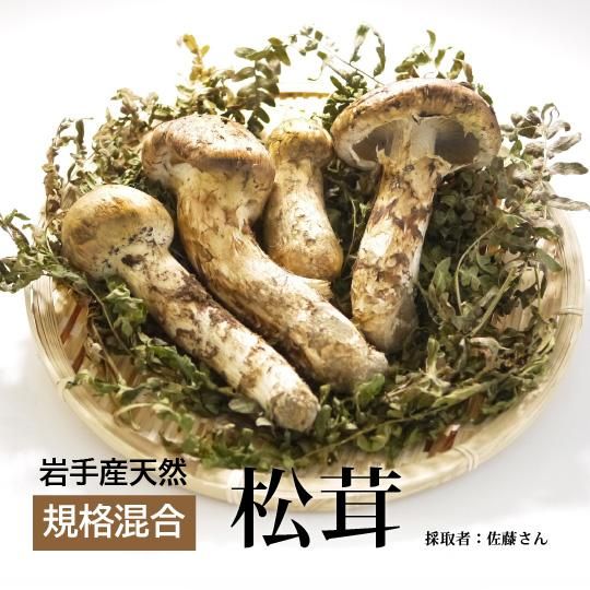 天然岩手産松茸　規格混合品