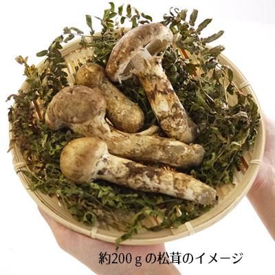 岩手産松茸　規格混合　国産