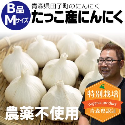 田子にんにくの上平農園