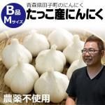 <img class='new_mark_img1' src='https://img.shop-pro.jp/img/new/icons62.gif' style='border:none;display:inline;margin:0px;padding:0px;width:auto;' />äˤˤԻѡBM[ʿ]