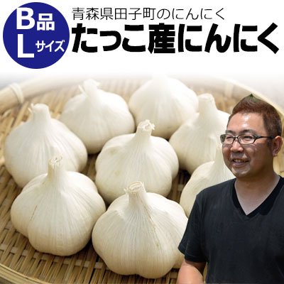 ジャンボニンニク(生) 10kg L~2Lサイズ 無化成肥料栽培 常温 送料込み