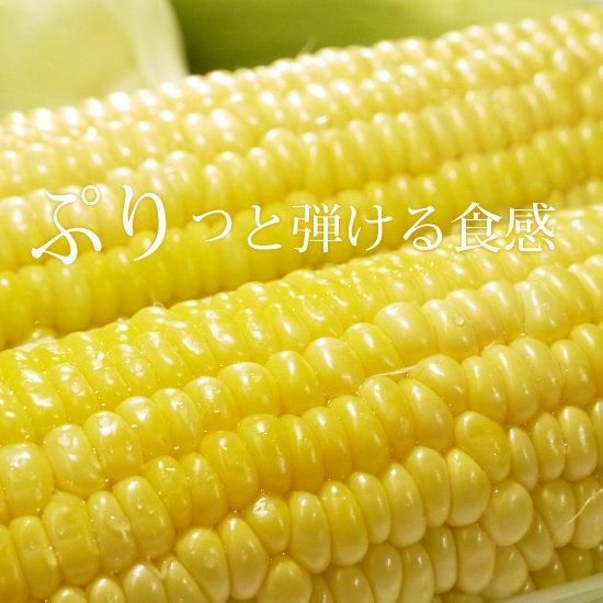 崎野農園 青森の嶽きみ 崎野農園 青森の嶽きみ