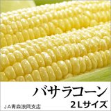 （冷蔵）青森県産 バサラコーン2Lサイズ[JA青森浪岡支店]※８月上旬より発送予定