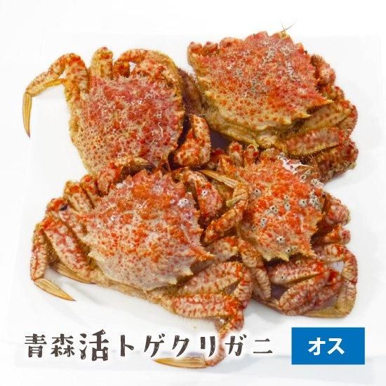 ボイルとげくりがにオス300~400g1匹1698円即決