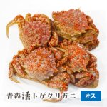 （冷蔵）活トゲクリガニ（オス）[青森県産] 桜蟹（山光）