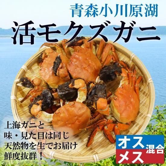 <img class='new_mark_img1' src='https://img.shop-pro.jp/img/new/icons62.gif' style='border:none;display:inline;margin:0px;padding:0px;width:auto;' />¢˳⥯ˡ᥹1kg58ա [еƱȹ] ̡ȯۢ12/17ޤǡͤ켡ȯǤ