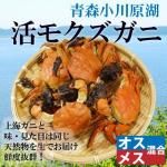 <img class='new_mark_img1' src='https://img.shop-pro.jp/img/new/icons62.gif' style='border:none;display:inline;margin:0px;padding:0px;width:auto;' />¢˳⥯ˡ᥹1kg58ա [еƱȹ] ̡ȯۢ12/17ޤǡͤ켡ȯǤ