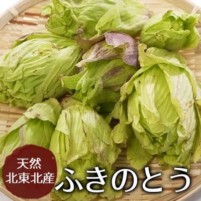 天然ふきのとう販売