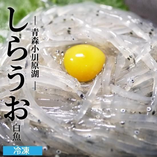 青森県小川原湖産白魚 シラウオ