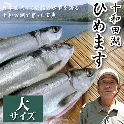十和田湖ひめます十和田湖増殖漁業協同組合 十和田湖ひめます十和田湖増殖漁業協同組合