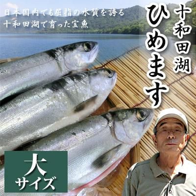 十和田湖ひめます十和田湖増殖漁業協同組合