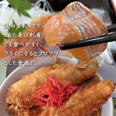 十和田湖ひめます十和田湖増殖漁業協同組合 十和田湖ひめます十和田湖増殖漁業協同組合