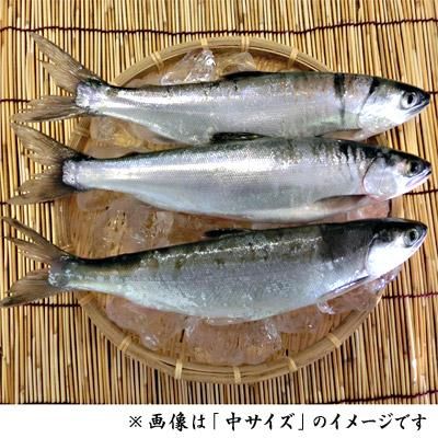 十和田湖ひめます十和田湖増殖漁業協同組合