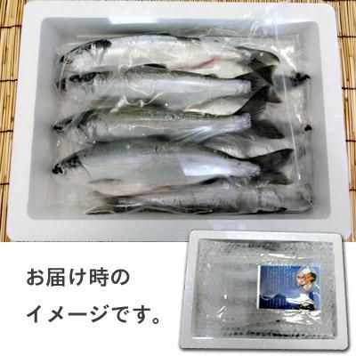 十和田湖ひめます十和田湖増殖漁業協同組合 十和田湖ひめます十和田湖増殖漁業協同組合