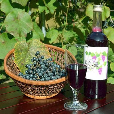 岩手県産山ぶどう100％原液ジュース無添加・無加糖