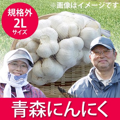 青森にんにく規格外２Ｌサイズ[川村さん]※11月から順次発送 - 【ハイ