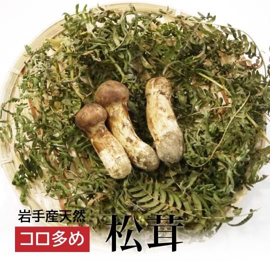 岩手の天然松茸サイズ混合【コロ】多め