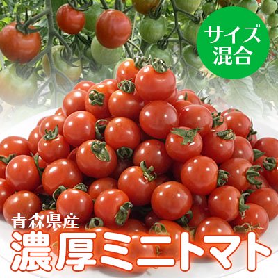 青森県産濃厚ミニトマト