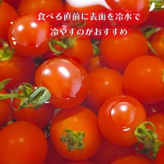 青森県産ミニトマト9キロ 楽天市場】ミニトマト（ 約200g × 12パック ） 山形県産 : まる