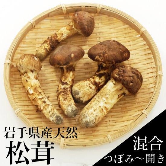 交換無料！ 松茸 岩手県産 10.15 500g 野菜 - horecagranada.es