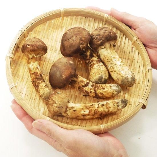 岩手県産松茸③ ④ えぐちゃん 岩手県産松茸 - メルカリ