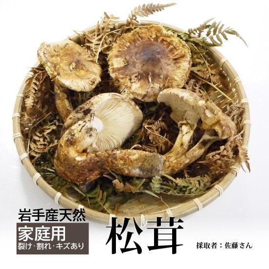 三陸産松茸 1.2kg キズあり - pegasusmotorsgh.com