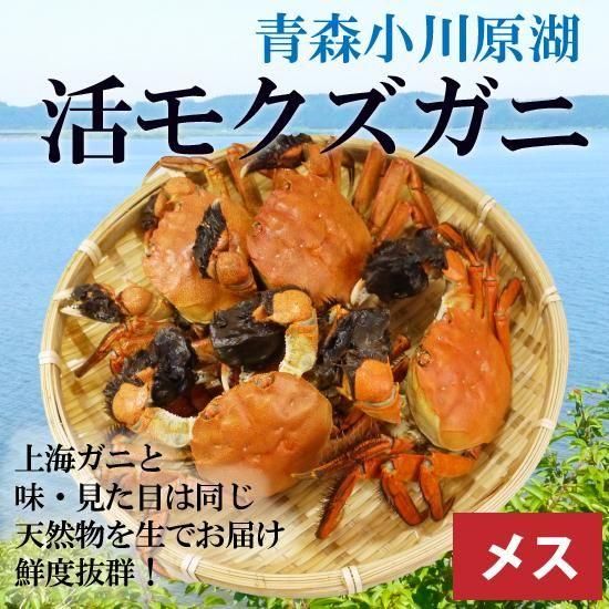 <img class='new_mark_img1' src='https://img.shop-pro.jp/img/new/icons62.gif' style='border:none;display:inline;margin:0px;padding:0px;width:auto;' />¢˳⥯ˡ᥹1kg611ա [еƱȹ] ̡ȯۢ12/17ޤǡͤ켡ȯǤ