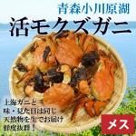 <img class='new_mark_img1' src='https://img.shop-pro.jp/img/new/icons62.gif' style='border:none;display:inline;margin:0px;padding:0px;width:auto;' />¢˳⥯ˡ᥹1kg611ա [еƱȹ] ̡ȯۢ12/17ޤǡͤ켡ȯǤ