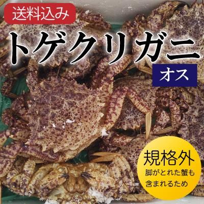 トゲクリガニ|青森県野辺地産規格外お徳用