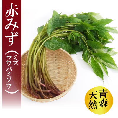 青森の天然山菜ミズ みず 青森の天然山菜ミズ みず