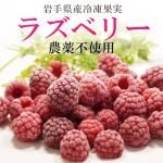 国産 ベリー