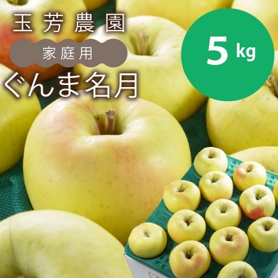 青森県産りんご　葉とらずぐんま名月　※家庭用8キロ