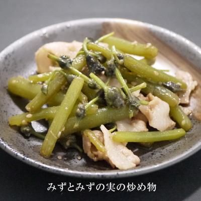 青森の天然山菜ミズ みずの実 ミズノコブ ミズのこ ムカゴ