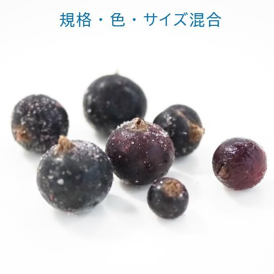 弘前産冷凍カシス20キロ 弘前産冷凍カシス(2024年)