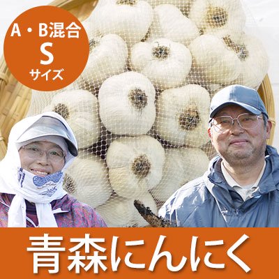 青森にんにくA品・B品混合Sサイズ（根の部分無加工）[川村さん