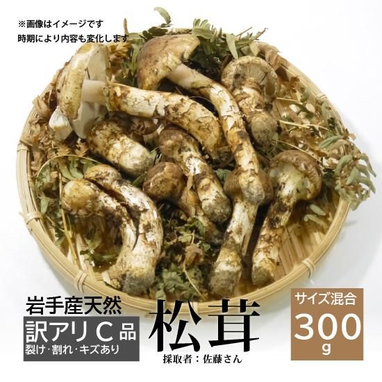 天然岩手産松茸　訳あり C品