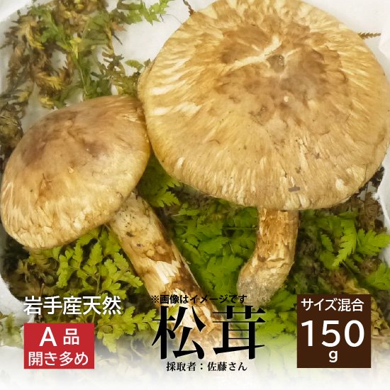 最高クラス岩手県産松茸です 150ｇ - 野菜