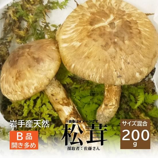 人気の定番 岩手県産松茸700g開き - 食品