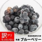 <img class='new_mark_img1' src='https://img.shop-pro.jp/img/new/icons23.gif' style='border:none;display:inline;margin:0px;padding:0px;width:auto;' />Ŀ֥롼٥꡼̼¡1kgʾԻѡˢ[Ŀ]񻺥֥롼٥꡼