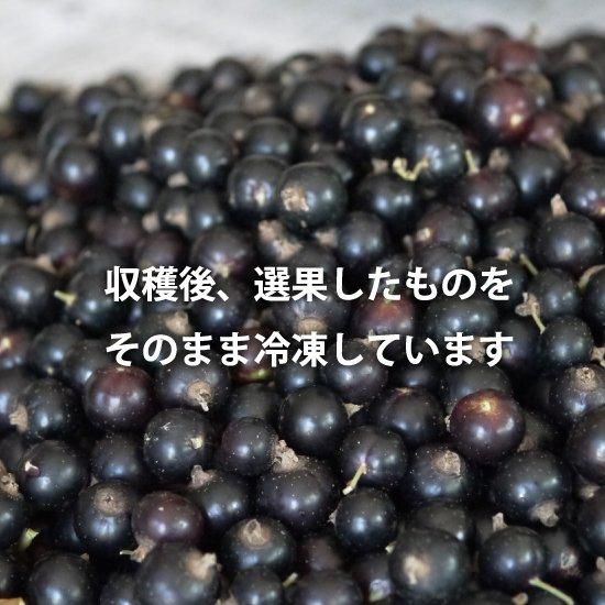 農薬・化学肥料不使用の青森県産冷凍カシス