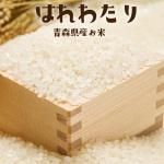 <img class='new_mark_img1' src='https://img.shop-pro.jp/img/new/icons62.gif' style='border:none;display:inline;margin:0px;padding:0px;width:auto;' />11ꤪ Ŀ ֤Ϥ錄 5kg