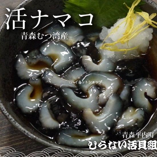 青森 ナマコ通販 活なまこ