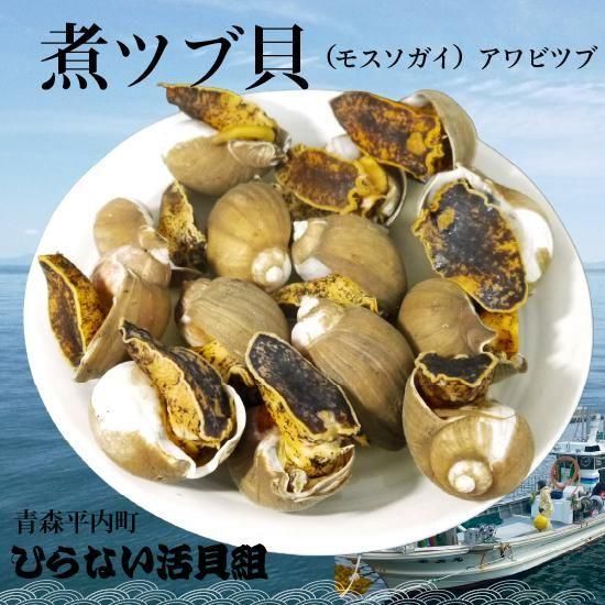 煮ツブ貝（モスソガイ）アワビツブ 通販