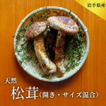 <img class='new_mark_img1' src='https://img.shop-pro.jp/img/new/icons62.gif' style='border:none;display:inline;margin:0px;padding:0px;width:auto;' />¢˹񻺴ŷڳ200g23ܡ[Ф]˾ԲľʢΤ켡ȯ