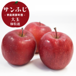 <img class='new_mark_img1' src='https://img.shop-pro.jp/img/new/icons62.gif' style='border:none;display:inline;margin:0px;padding:0px;width:auto;' />Ŀ դ̡۶ ĿĮ