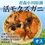 <img class='new_mark_img1' src='https://img.shop-pro.jp/img/new/icons62.gif' style='border:none;display:inline;margin:0px;padding:0px;width:auto;' />¢˳⥯ˡ1kg3ա [еƱȹ] ̡ȯۢ12/17ޤǡͤ켡ȯǤ