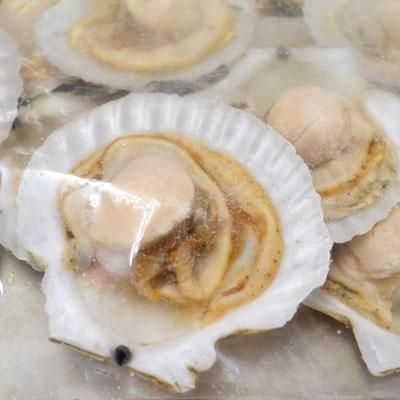 奥村商店】(冷凍)むつ湾産ほたて片貝BBQ用（ウロ無し）15枚